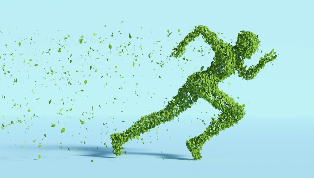 leaves, human, sustainability-5591441.jpg