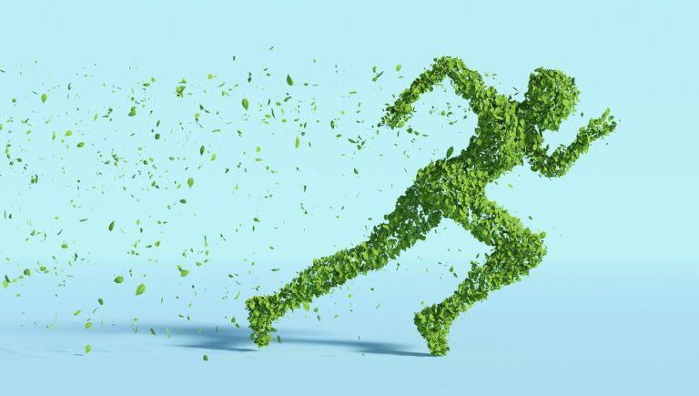 leaves, human, sustainability-5591441.jpg